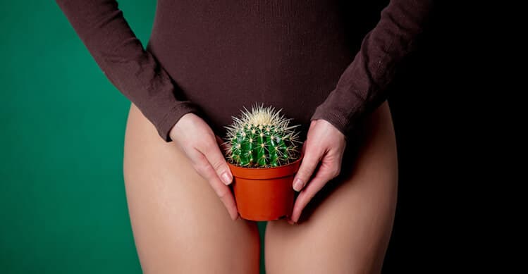 Sequedad vaginal